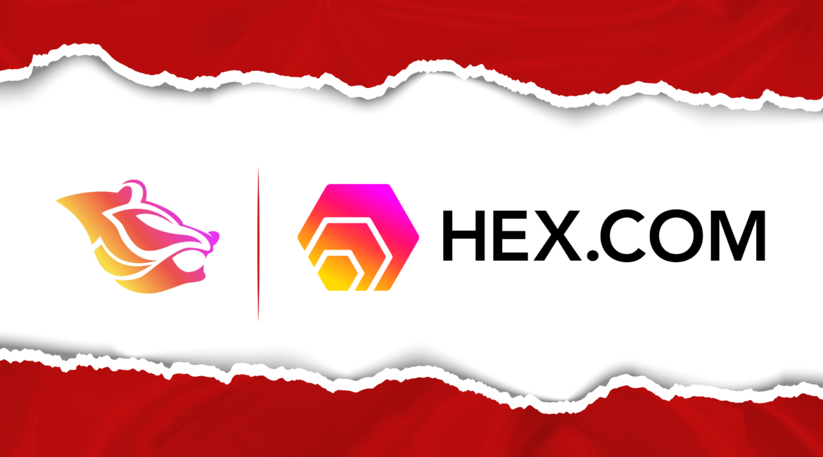 HEX.com Patrocinador Osos Rivas